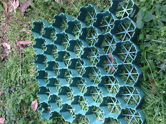 植草格